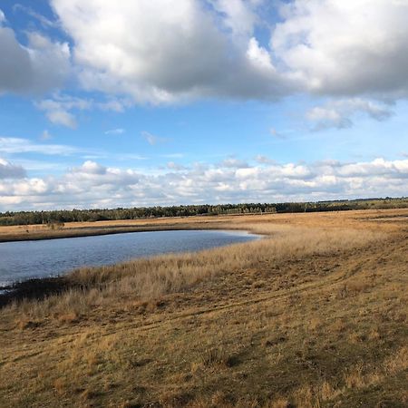 City Apparte Exklusiv - Direkt Am Antonius-Hospital - Stilvoll Wohnen Im Herzen Von Gronau Gronau  Exteriör bild