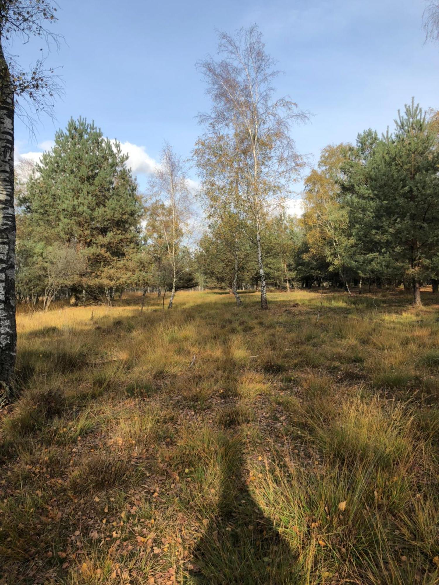 City Apparte Exklusiv - Direkt Am Antonius-Hospital - Stilvoll Wohnen Im Herzen Von Gronau Gronau  Exteriör bild