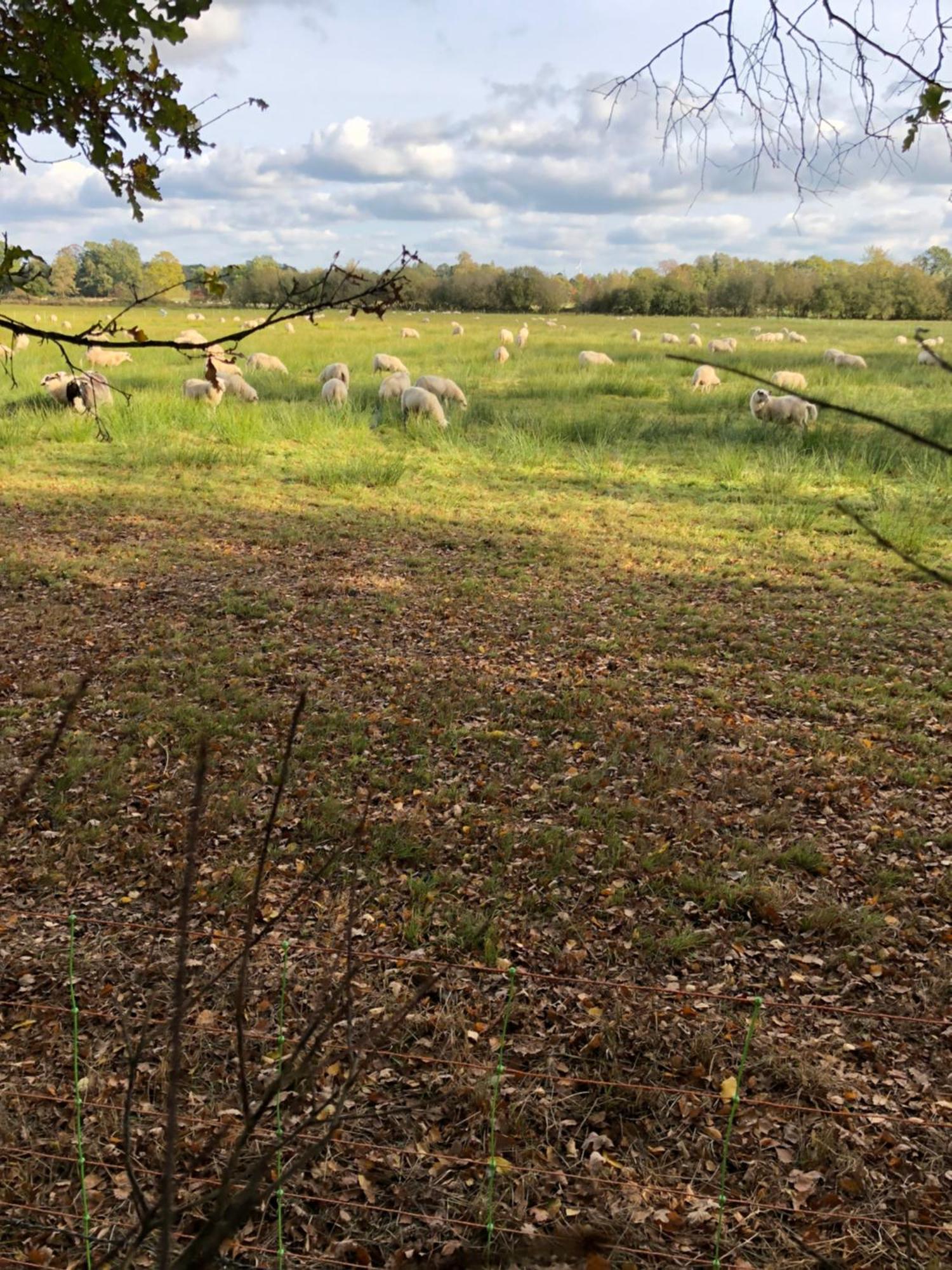 City Apparte Exklusiv - Direkt Am Antonius-Hospital - Stilvoll Wohnen Im Herzen Von Gronau Gronau  Exteriör bild